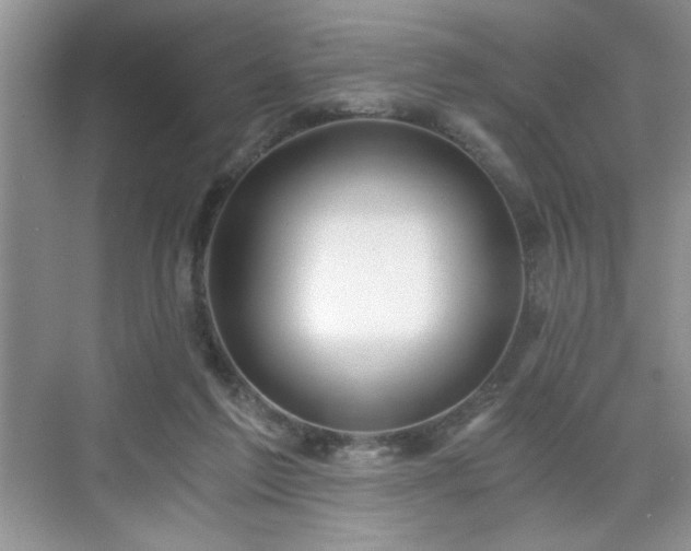 X0000071330213200606301609