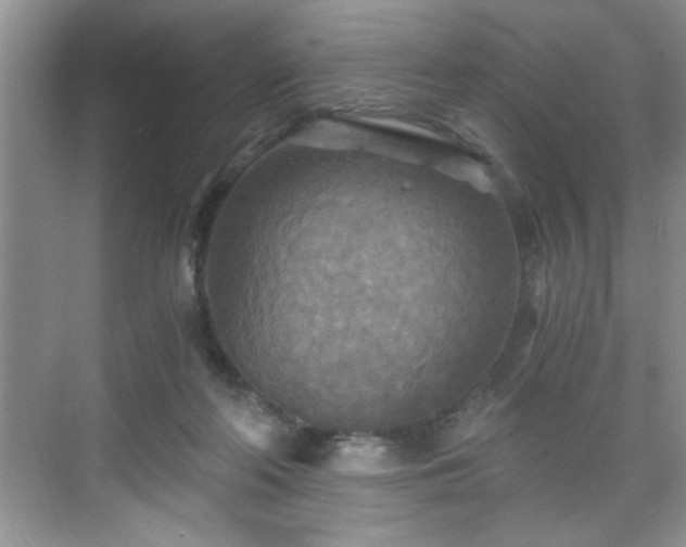 X0000071330214200606301609