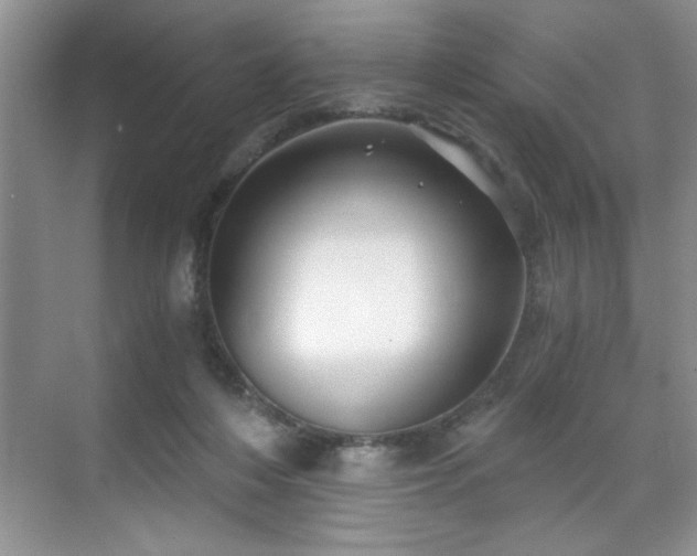 X0000071330216200606301609