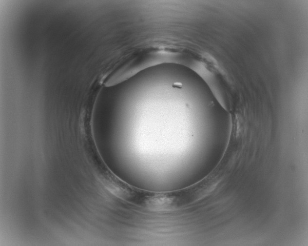 X0000071330217200606301609