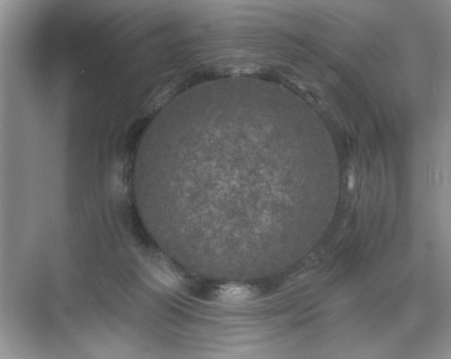 X0000071330218200606301609