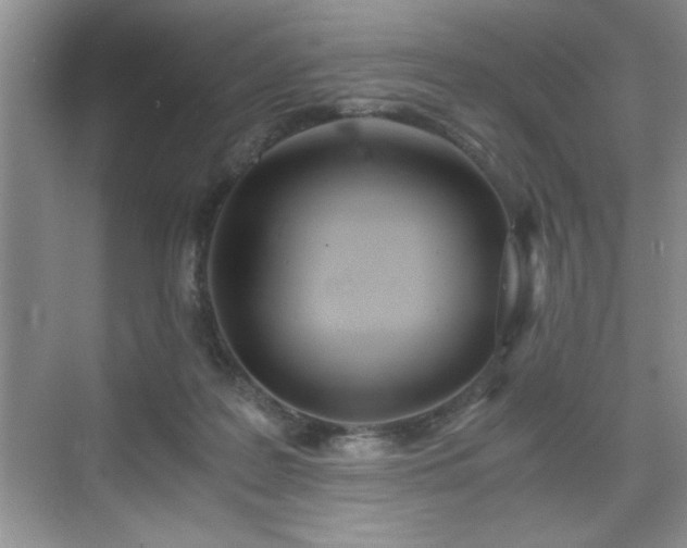 X0000071330219200606301609