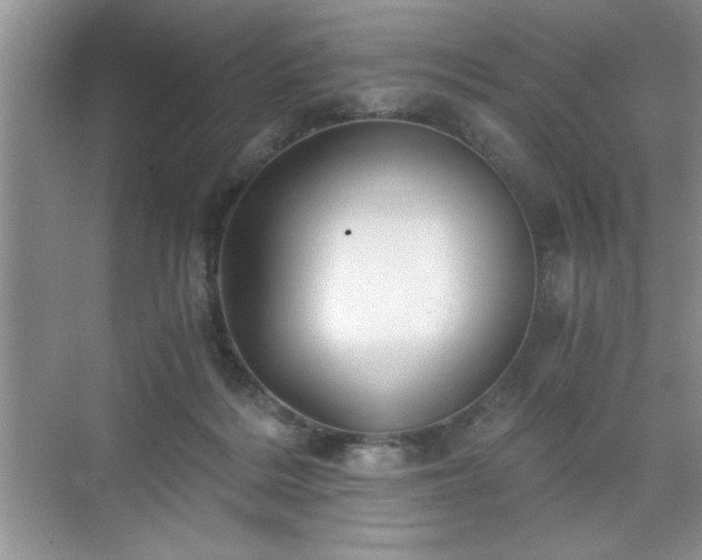 X0000071330220200606301609