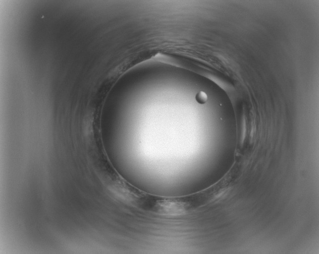 X0000071330221200606301609