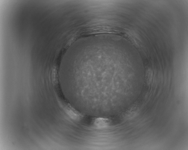 X0000071330222200606301609