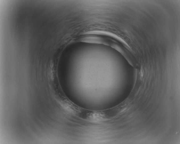 X0000071330223200606301609