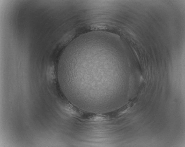 X0000071330224200606301609