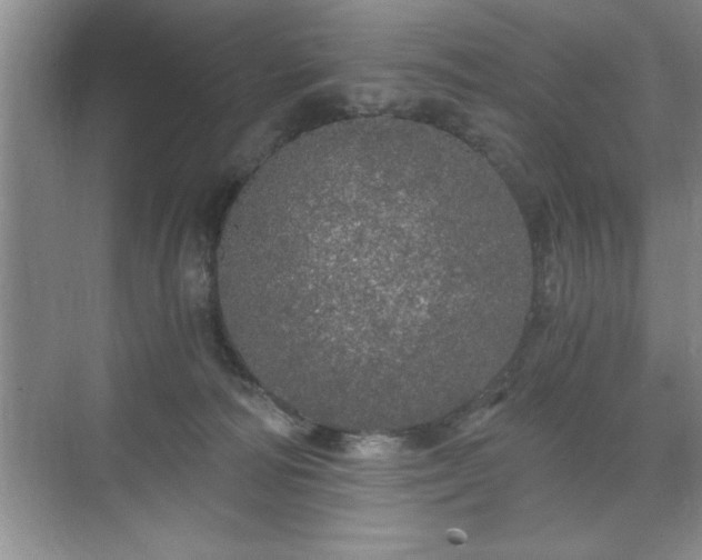 X0000071330226200606301609