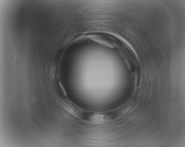 X0000071330227200606301609