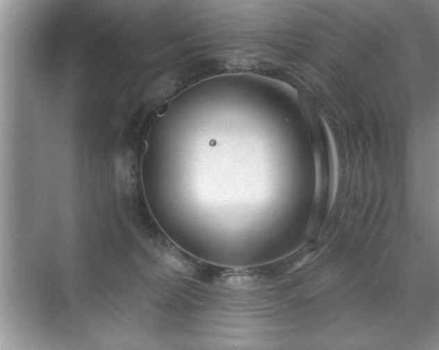 X0000071330228200606301609