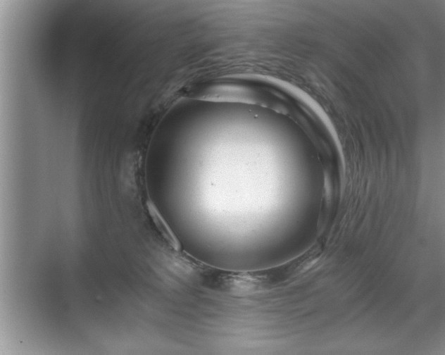 X0000071330229200606301609