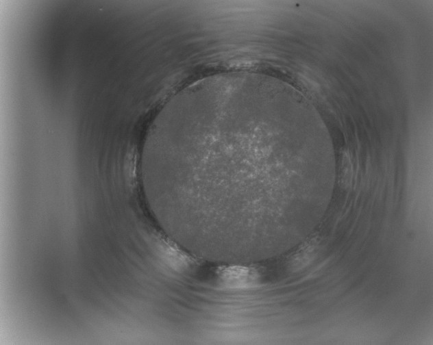 X0000071330230200606301609