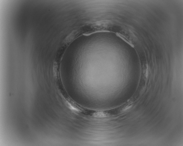 X0000071330231200606301609