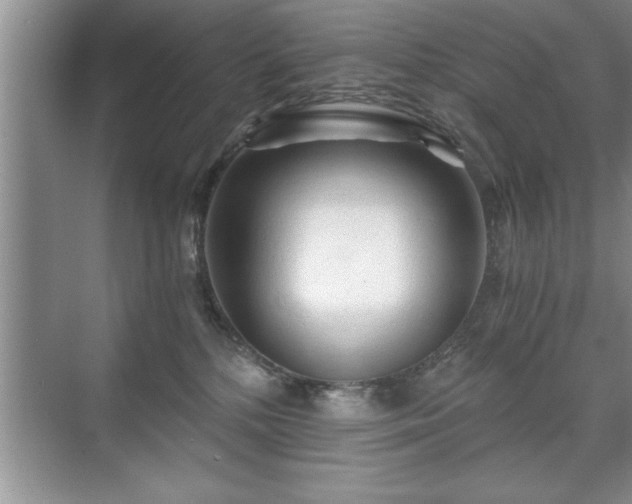 X0000071330232200606301609