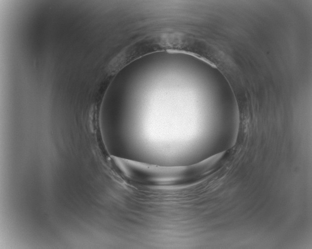 X0000071330233200606301609