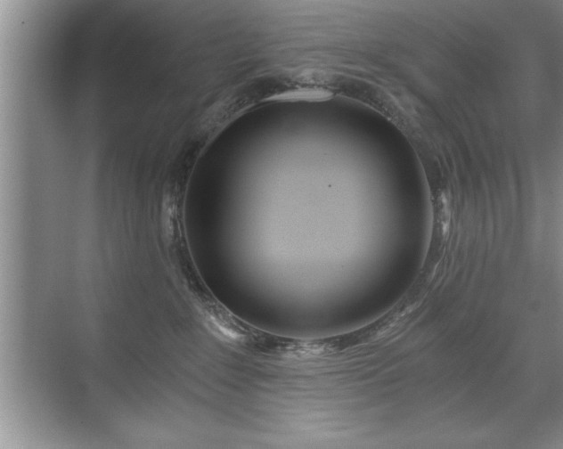 X0000071330235200606301609