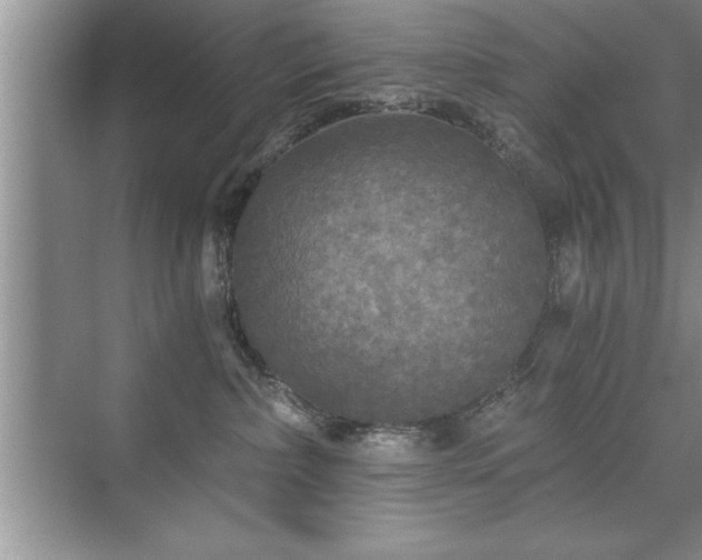 X0000071330236200606301609