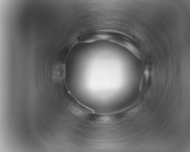 X0000071330237200606301609