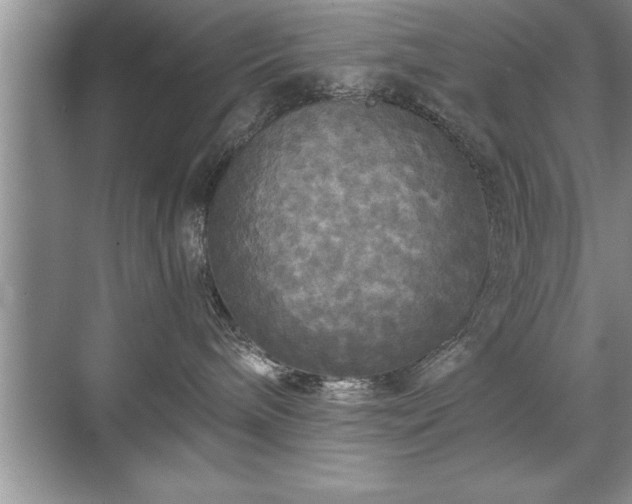 X0000071330240200606301608