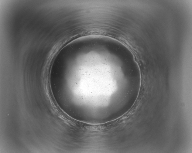 X0000071330241200606301608