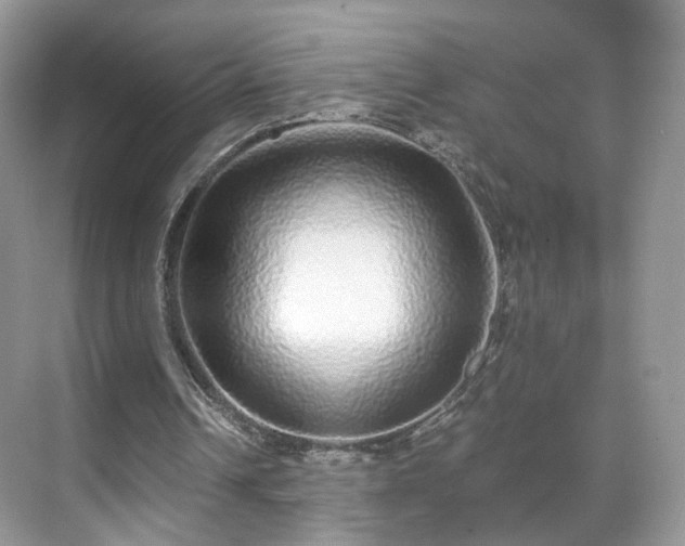 X0000071330242200606301608