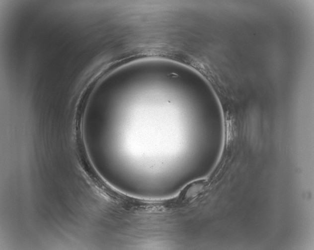 X0000071330243200606301608