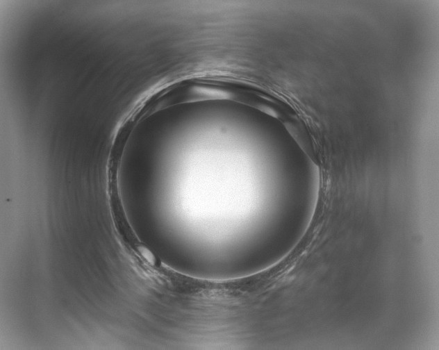 X0000071330244200606301608