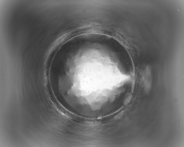 X0000071330245200606301608