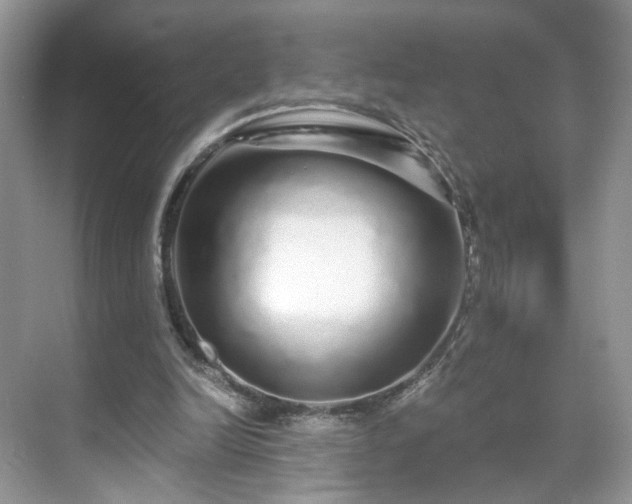 X0000071330246200606301608