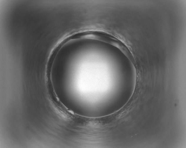 X0000071330248200606301608