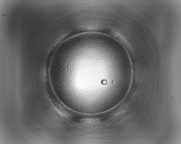 X0000071330251200606301608