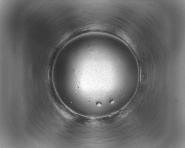 X0000071330253200606301608