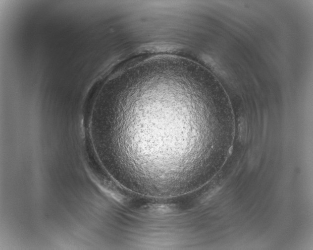 X0000071330254200606301608