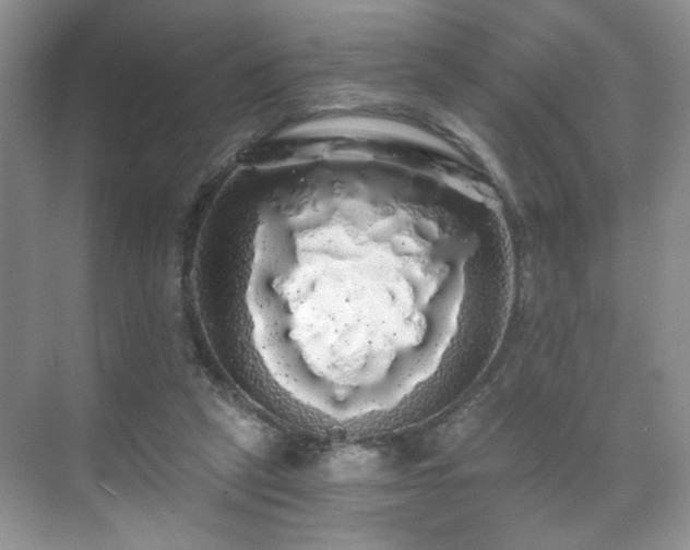 X0000071330257200606301608