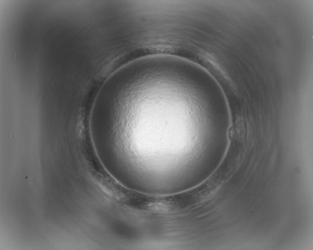 X0000071330259200606301608