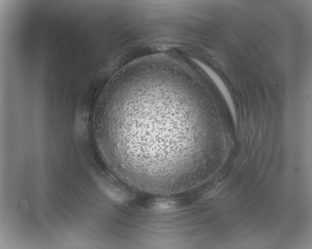 X0000071330263200606301608