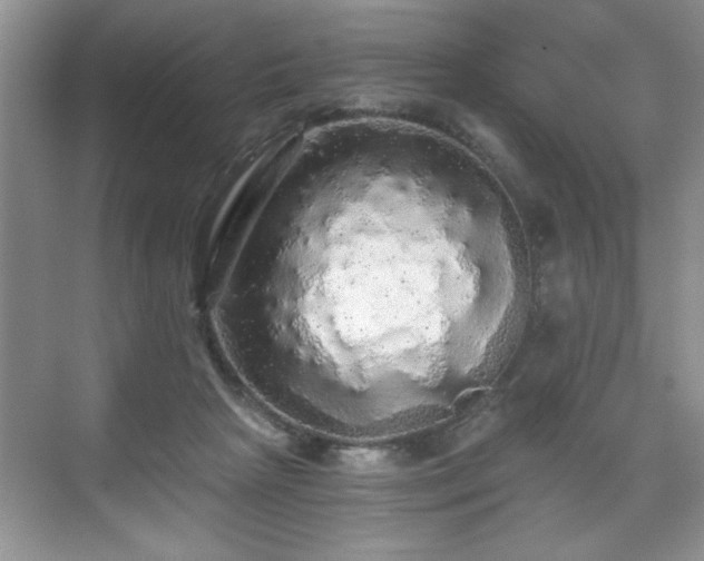 X0000071330265200606301608