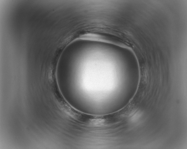 X0000071330266200606301608