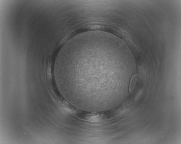 X0000071330267200606301608