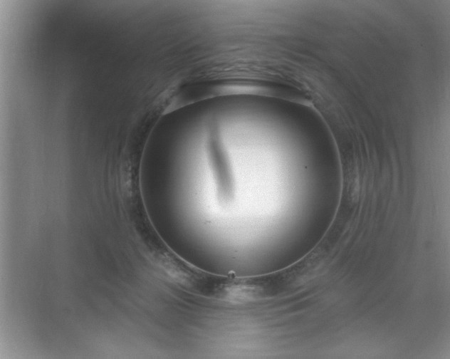 X0000071330268200606301608