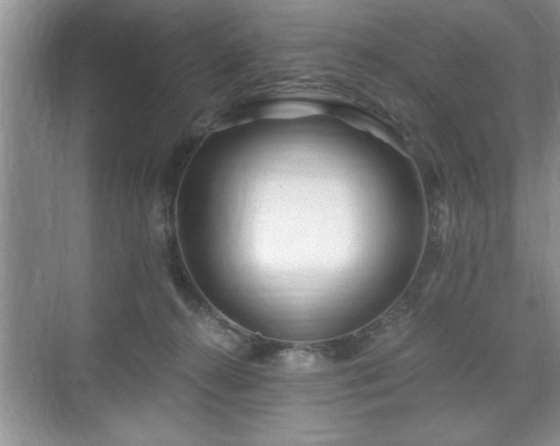 X0000071330272200606301608