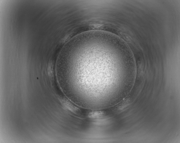 X0000071330274200606301608