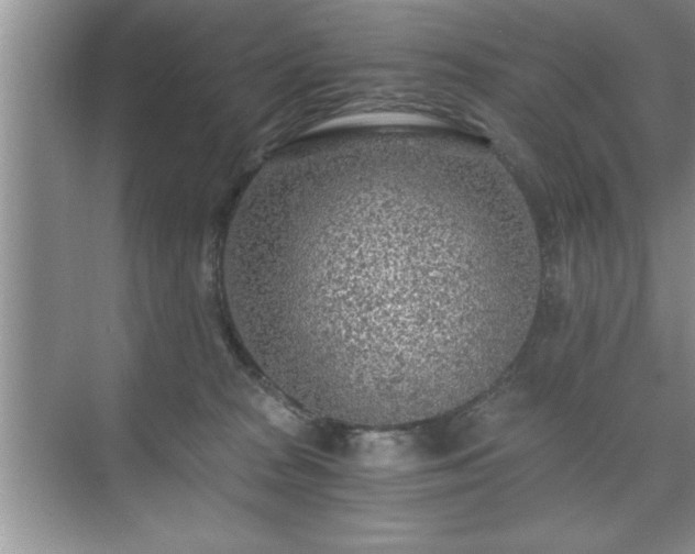 X0000071330277200606301608