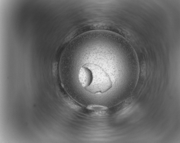 X0000071330278200606301608