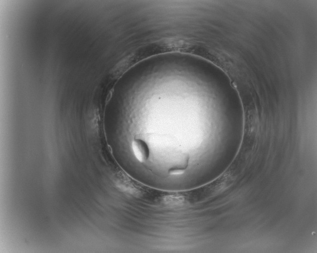 X0000071330279200606301608