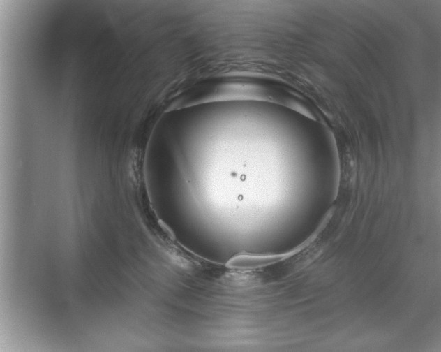 X0000071330280200606301608