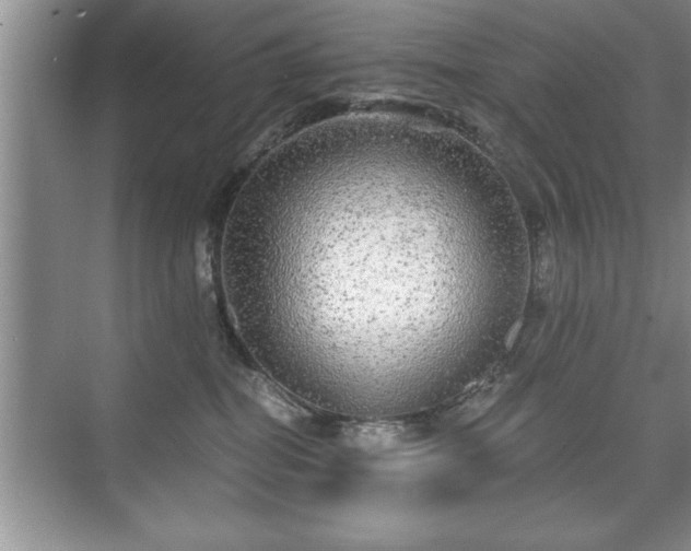 X0000071330282200606301608