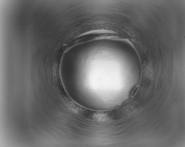 X0000071330283200606301608