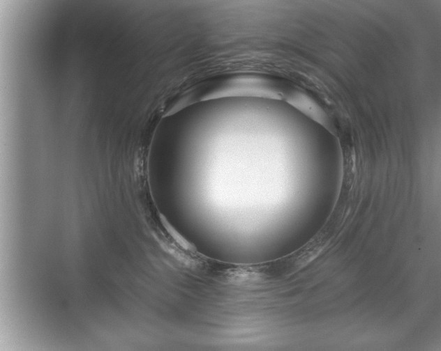 X0000071330284200606301608