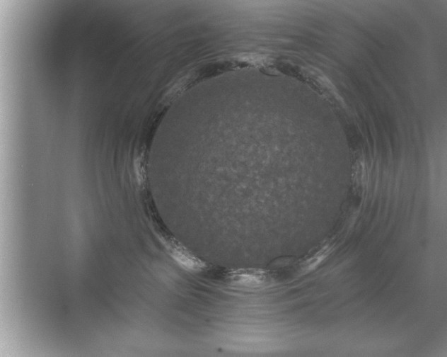 X0000071330285200606301608